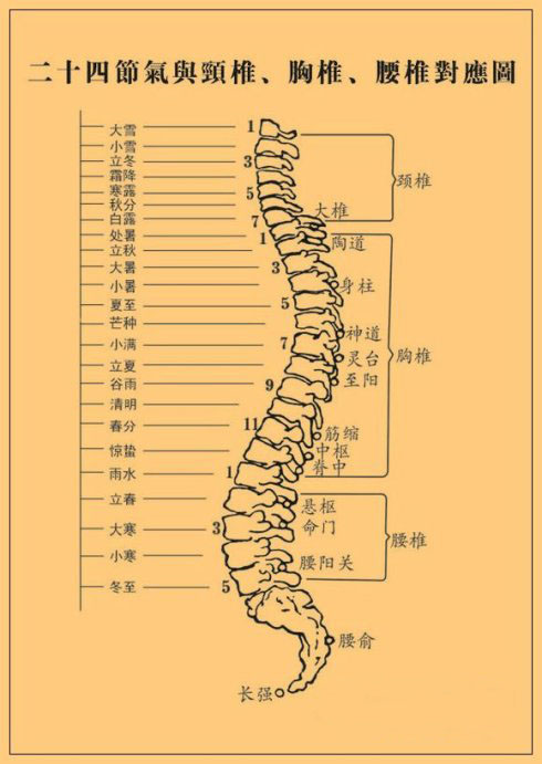 脊椎对应节气表